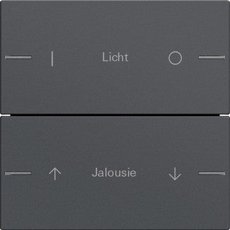 Juego de tecla basculante de 2 elementos personalizable para sensor táctil 4.55 Gira – 8 colores