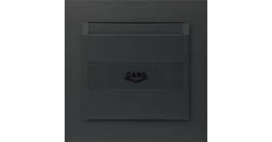 Tapa para interruptor tarjetero Logus 90 grafito Efapel – ref. 90731TIS
