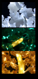 Árbol arce LED 2 m