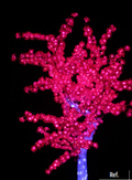 Árbol Peonía LED 2,10 m