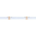 Tira LED COB RGB LDV 24 V de 14 W/m IP20, rollo de 5 m