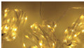 Cortina micro LED de luz cálida, cable transparente, 2,3 o 3 m