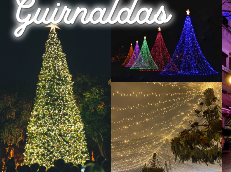 Guirnalda LED 12 m de 1 tramo, color de cable y luz a elegir