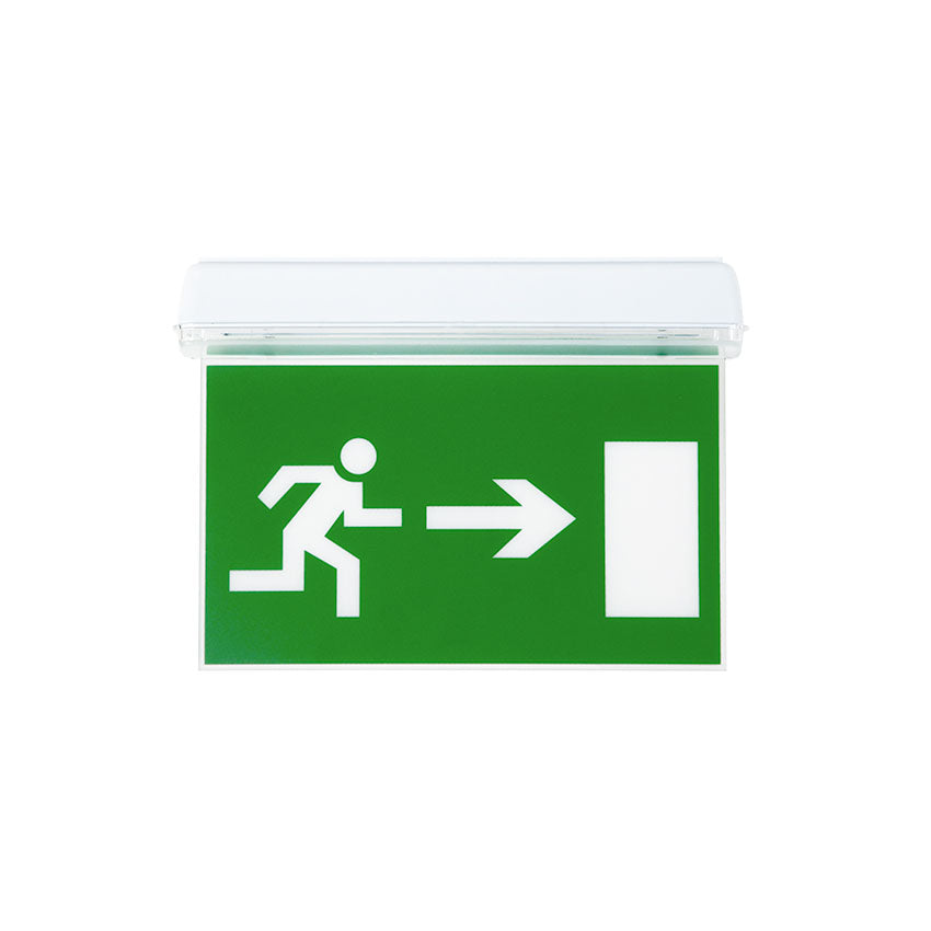 Banderola SALIDA LDV M005 para emergencia Lúmine L116N, 220 × 140 mm