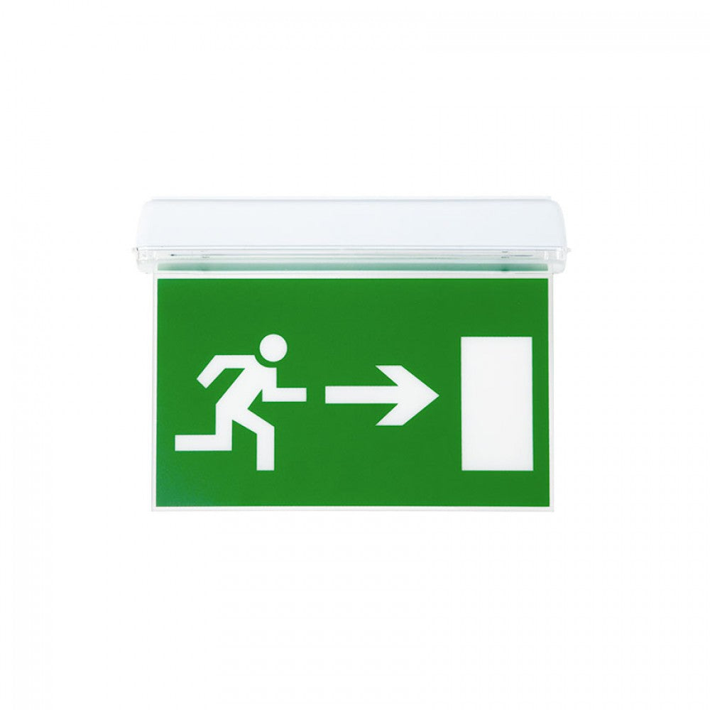 Banderola SALIDA LDV M005 para emergencia Lúmine L116N, 220 × 140 mm